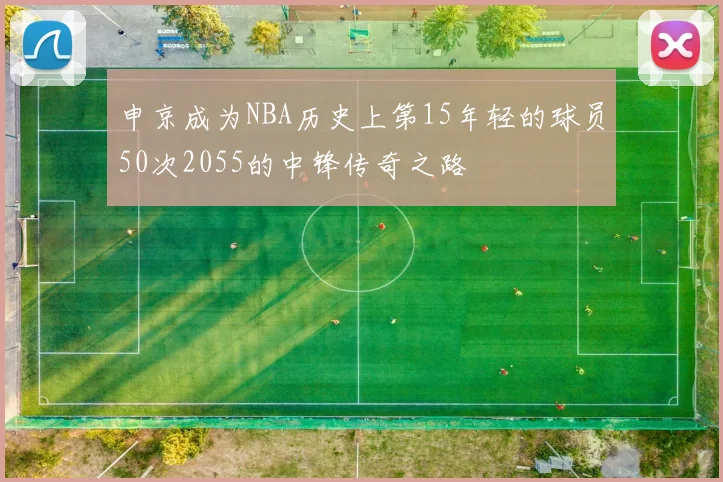 申京成为NBA历史上第15年轻的球员50次2055的中锋传奇之路