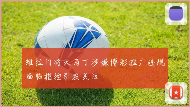 维拉门将大马丁涉嫌博彩推广违规面临指控引发关注