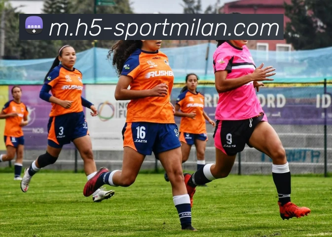 米兰体育APP 封面图